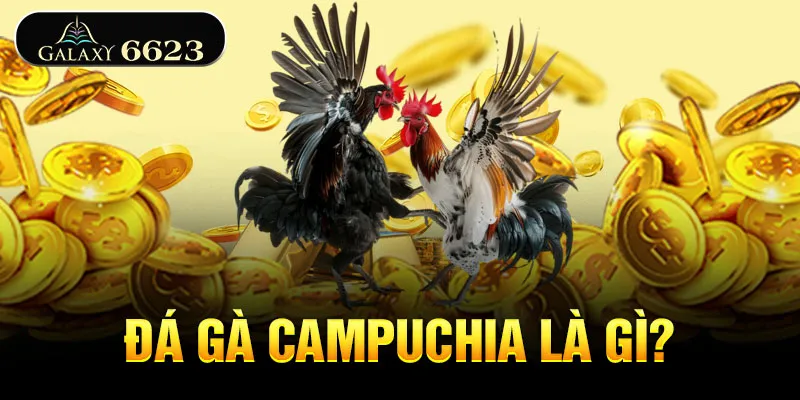 da-ga-campuchia-la-gi