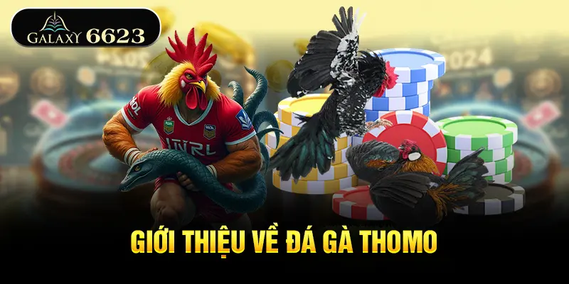 gioi-thieu-ve-da-ga-thomo