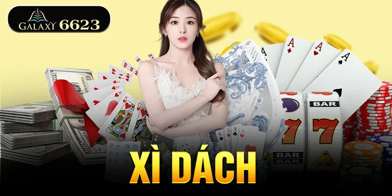 xi-dach