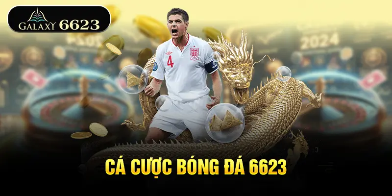 ca-cuoc-bong-da-6623